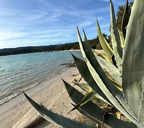 Maison D Santa Giulia